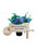 Dad - Memorial Wheelbarrow with Flower Insert - Graveside Plaque Garden