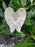 Friend White & Silver Angel Wings Stick - Memorial Tribute Spike